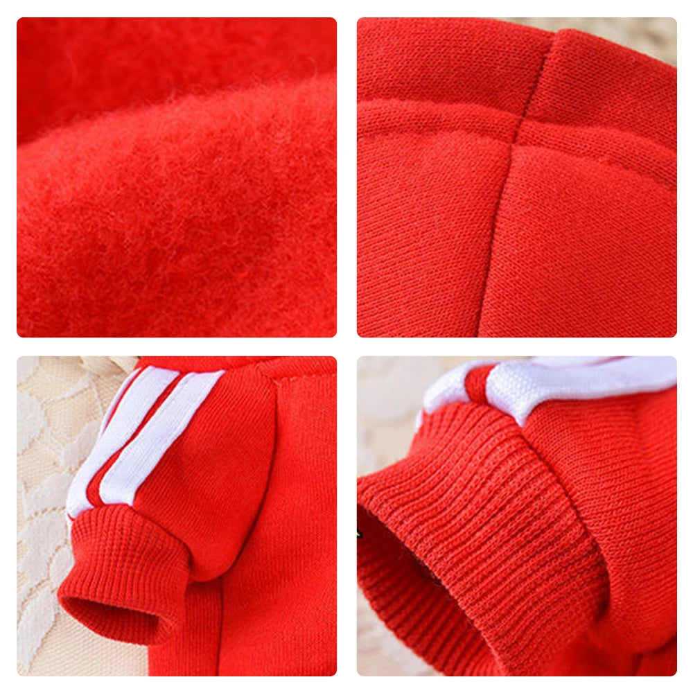Luxury Four-Legged hoodie