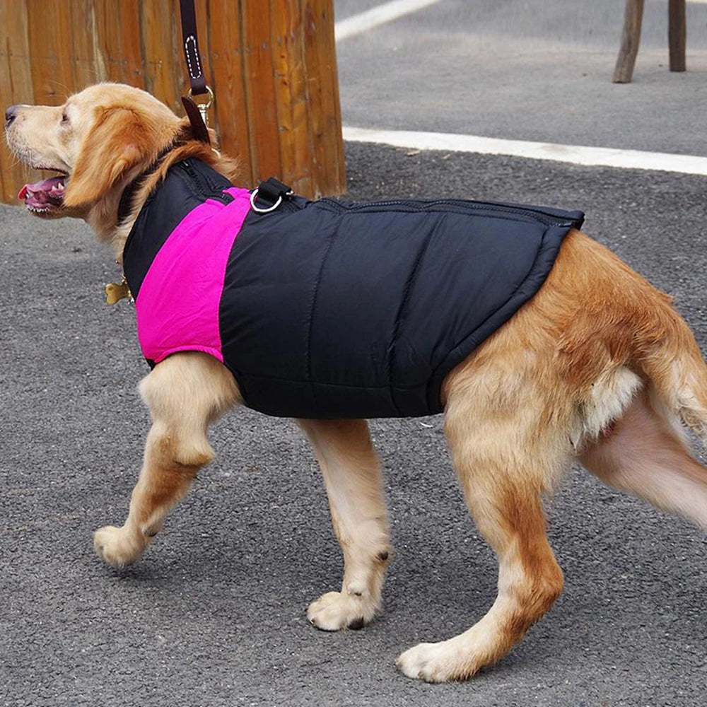 Waterproof padded winter vest for dogs to stay dry and warm