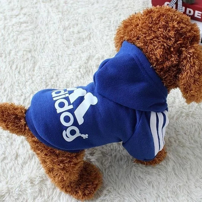 Luxury Four-Legged hoodie