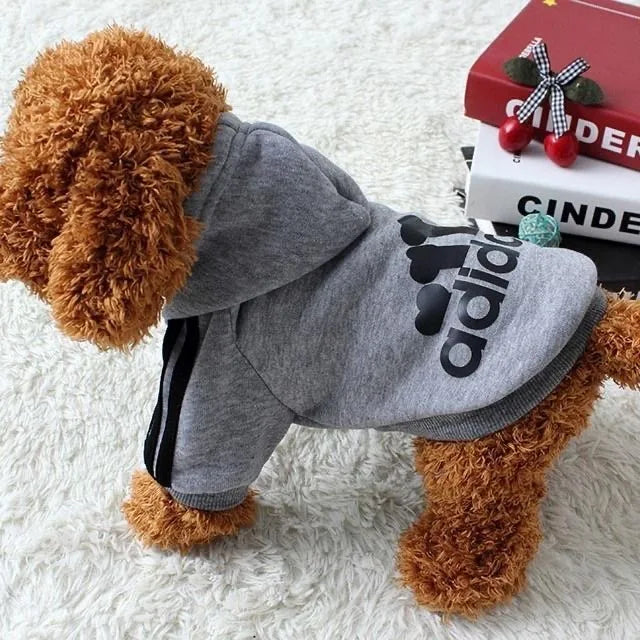 Luxury Four-Legged hoodie