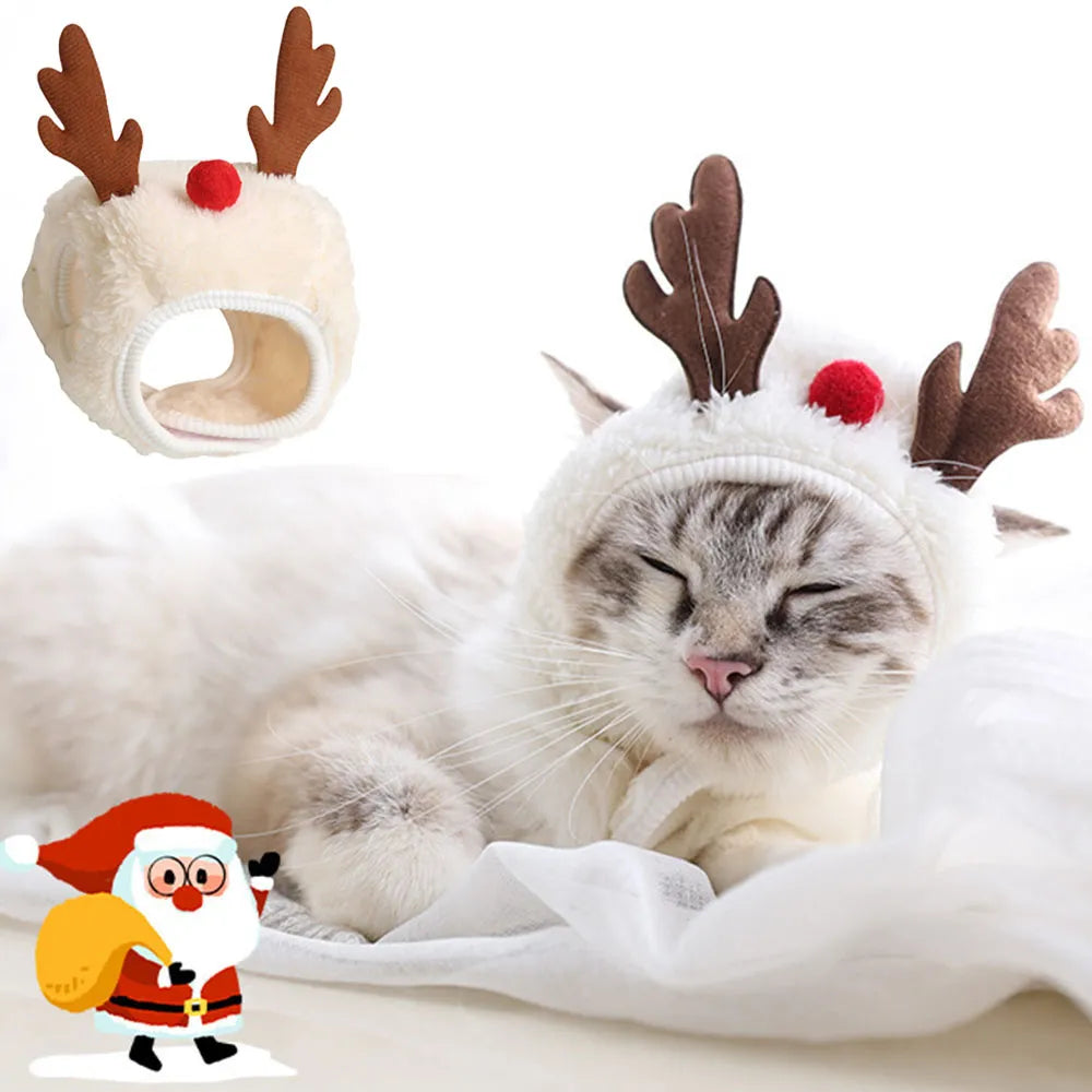 Festive Pet Costume Wonderland Christmas Hats