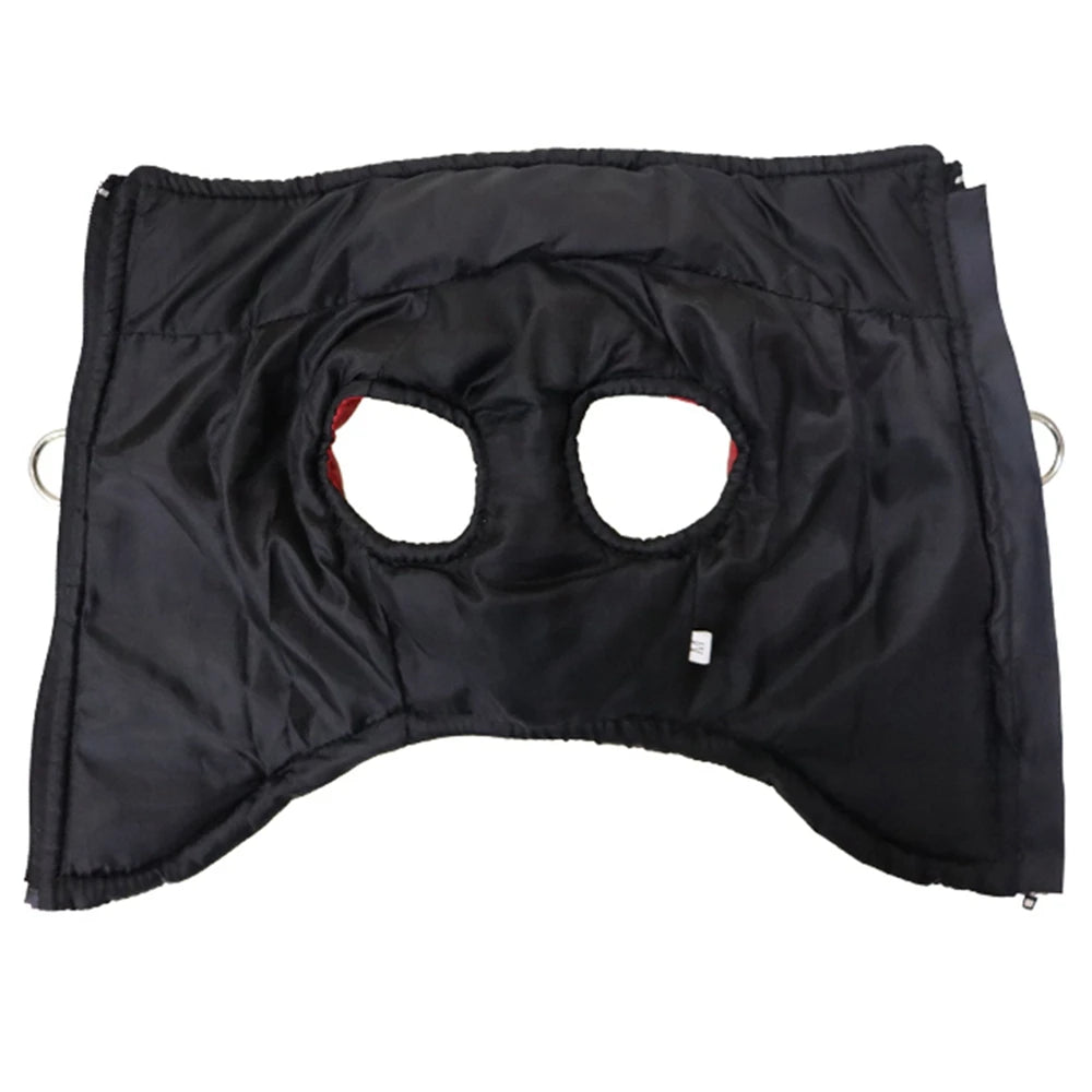Waterproof padded winter vest for dogs to stay dry and warm