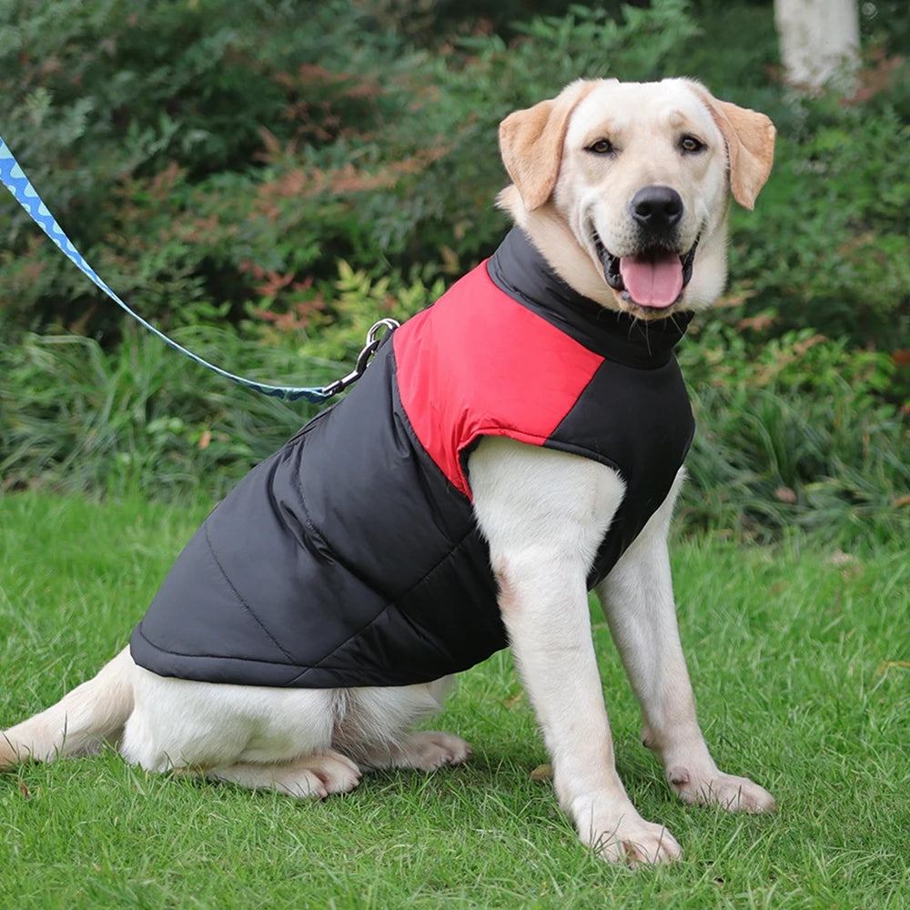 Waterproof padded winter vest for dogs to stay dry and warm