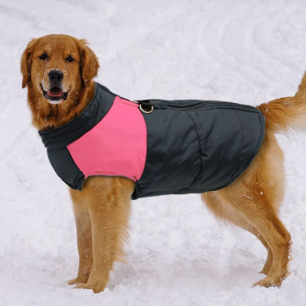 Gilet d'hiver rembourré imperméable pour que les chiens restent au sec et au chaud